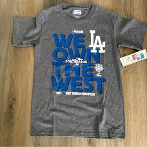 Majestic Gray Tee with Blue and White Graphics